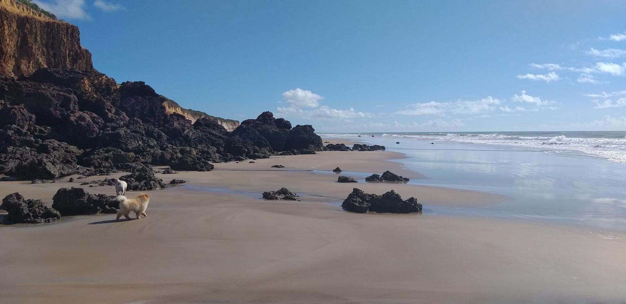 Casa Na Praia Com Piscina Costa Dourada 部屋 写真
